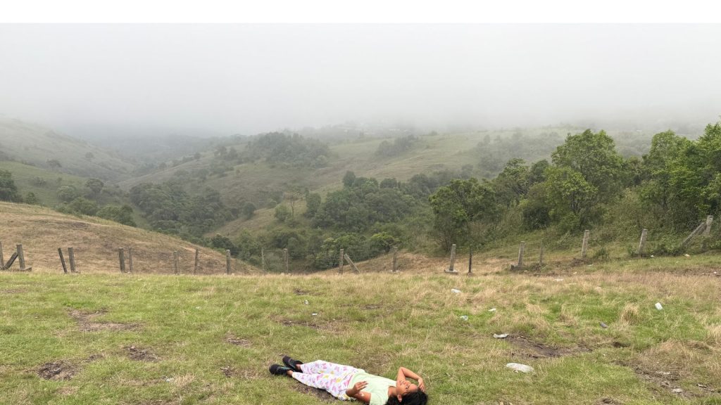 Kuttikanam misty hill view