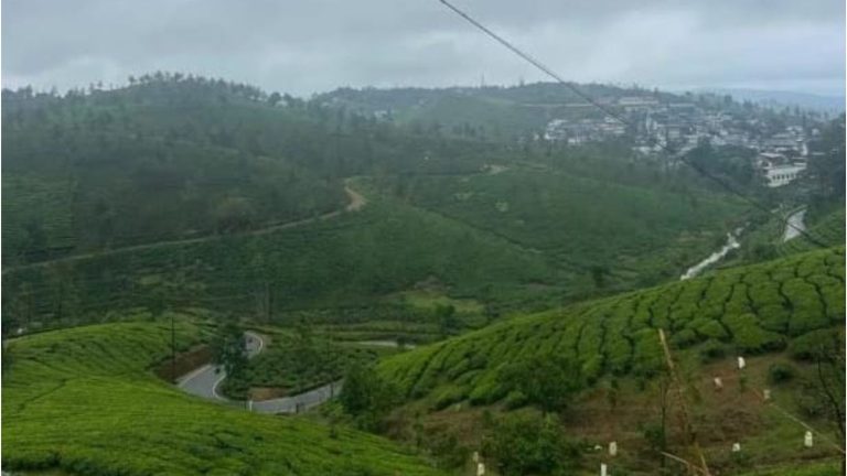 Kuttikanam tea estate