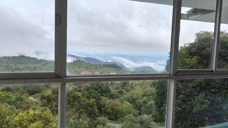 Window view from ameliore homes luxe kuttikanam homestay