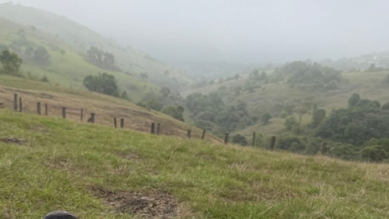 motta kunnu Kuttikanam