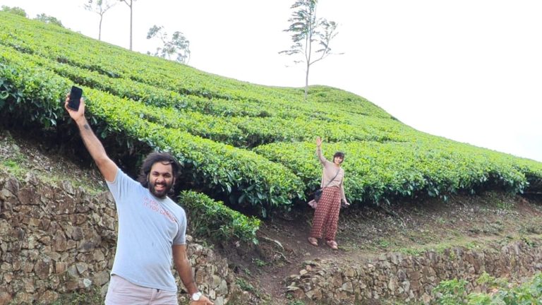 tea estate kuttikanam