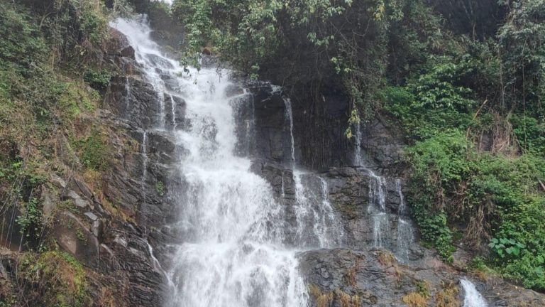 Kuttikanan waterfall